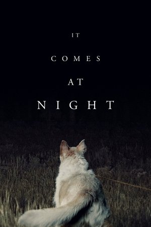 Watch Free It Comes at Night (2017)