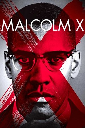 Watch Free Malcolm X (1992)