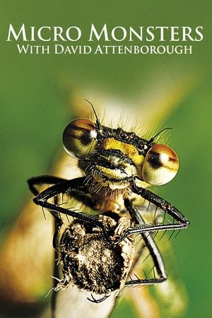 Watch Free Micro Monsters 3D (2013 )