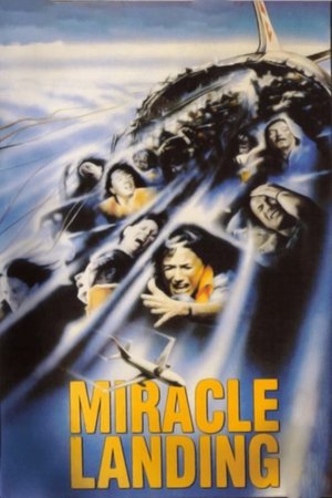 Watch Free Miracle Landing (1990)