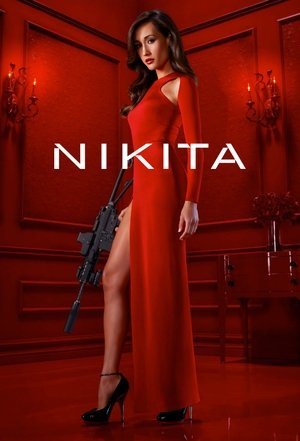 Watch Free Nikita (20102013)