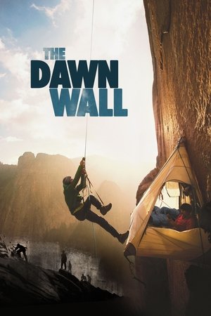 Watch Free The Dawn Wall (2017)