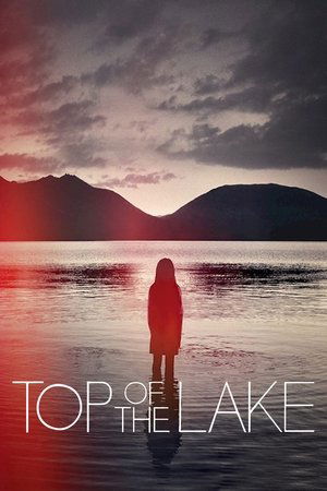 Watch Free Top of the Lake (20132017)
