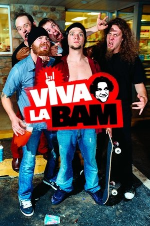Watch Free Viva la Bam (2003-2006)