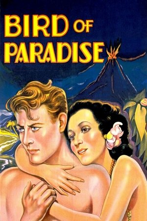 Watch Free Bird of Paradise (1932)