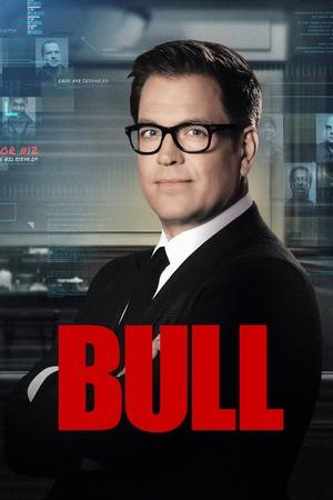 Watch Free Bull