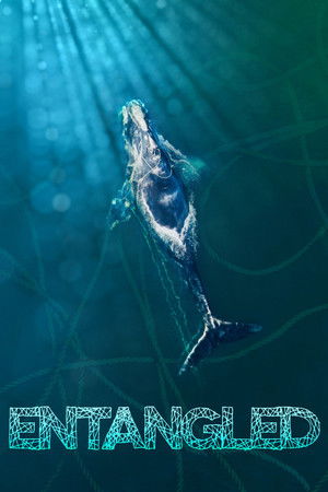 Watch Free Entangled: The Race to Save Right Whales from Extinction (2020)