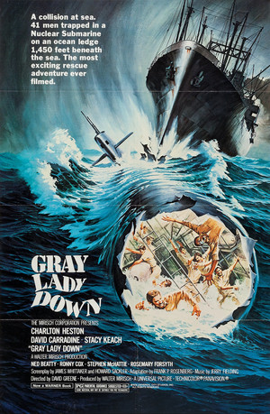 Watch Free Gray Lady Down (1978)