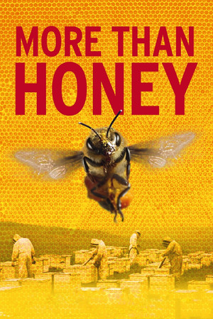 Watch Free More Than Honey (2012)