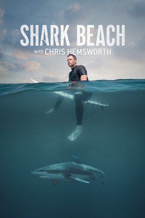 Watch Free Shark Beach (2021)