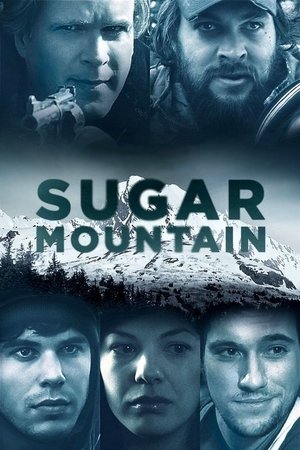 Watch Free Sugar Mountain (2016)
