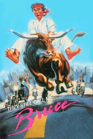 Watch Free They Still Call Me Bruce (1987)