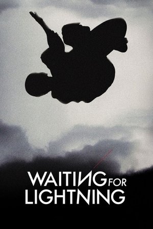 Watch Free Waiting for Lightning (2012)