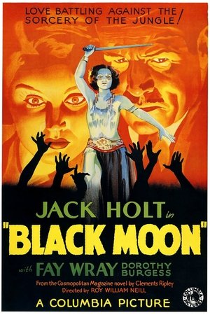 Watch Free Black Moon (1934)