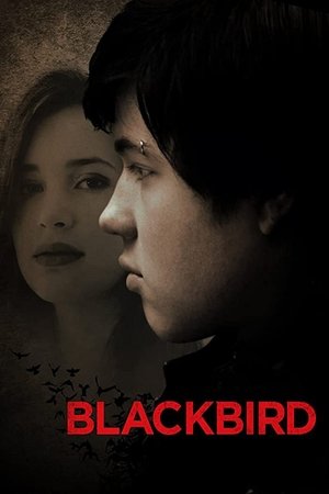Watch Full Movie: Blackbird (2012)