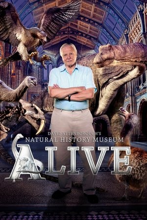 Watch Free David Attenboroughs Natural History Museum Alive (2014)