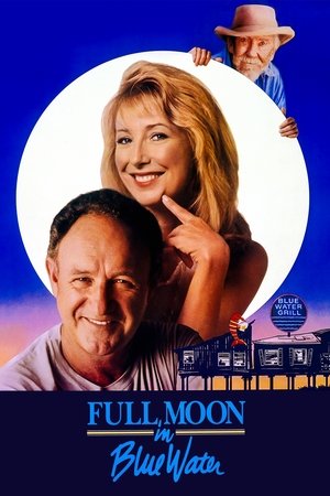 Watch Free Full Moon in Blue Water (1988)