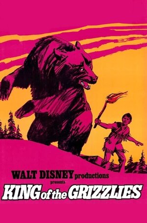 Watch Free King of the Grizzlies (1970)