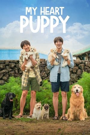 Watch Free My Heart Puppy (2023)