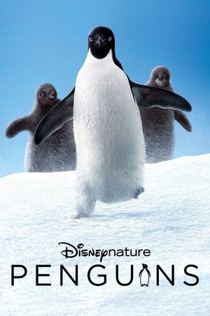Watch Free Penguins (2019)