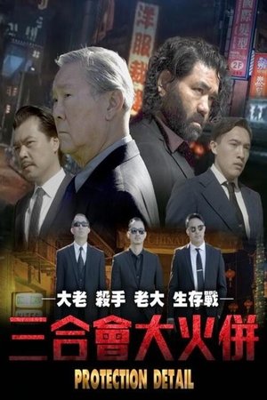 Watch Free Protection Detail (2022)