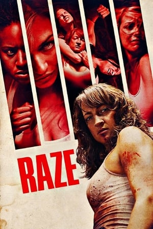Watch Free Raze (2013)