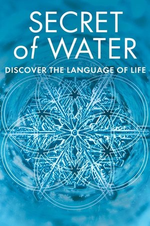 Watch Free Secret of Water (2015)