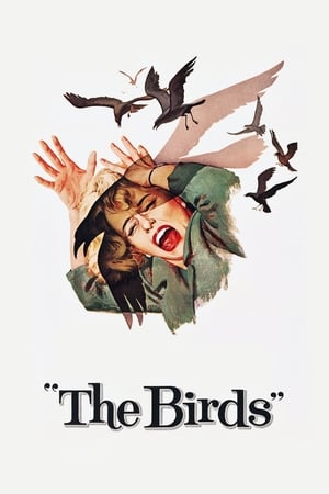 Watch Free The Birds (1963)