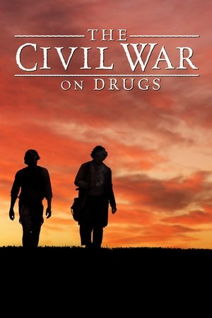 Watch Free The Civil War on Drugs (2011)