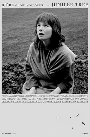 Watch Free The Juniper Tree (1990)