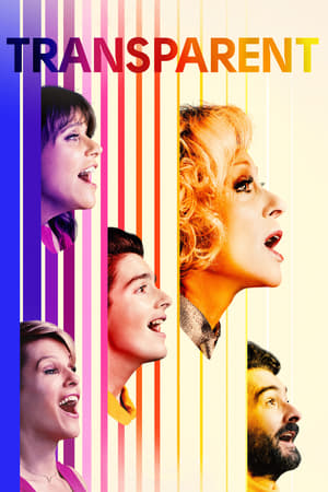 Watch Free Transparent (2014)