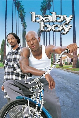 Watch Free Baby Boy (2001)