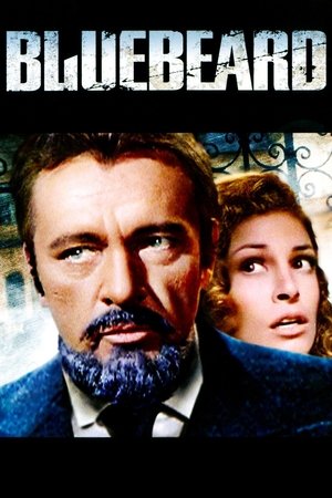 Watch Free Bluebeard (1972)