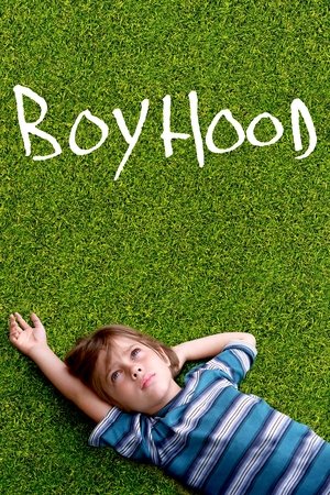 Watch Free Boyhood (2014)