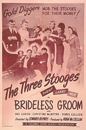 Watch Free Brideless Groom (1947)