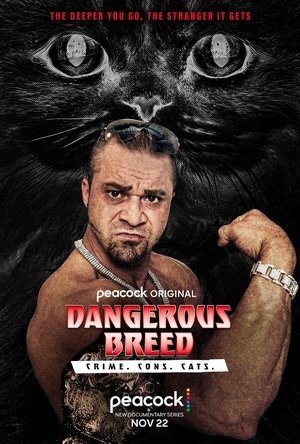 Watch Free Dangerous Breed Crime Cons Cats (2022)