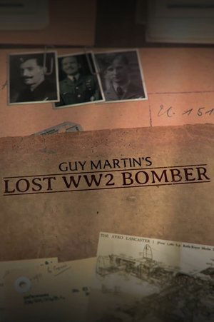 Watch Free Guy Martins Lost WW2 Bomber (2024)