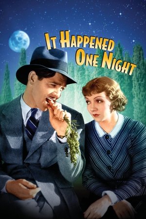 Watch Free It Happened One Night (1934)