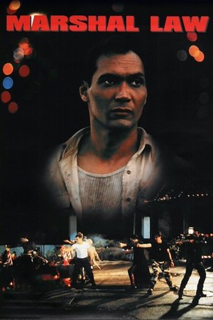 Watch Free Marshal Law (1996)