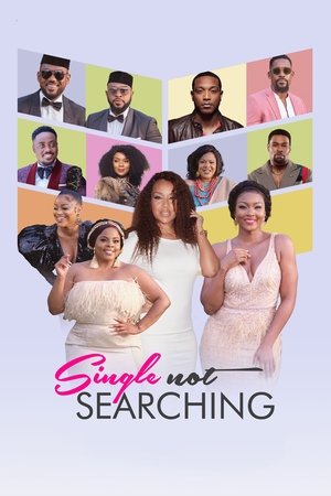 Watch Free Single Not Searching (2022)