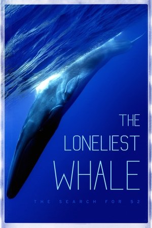 Watch Free The Loneliest Whale: The Search for 52 (2021)