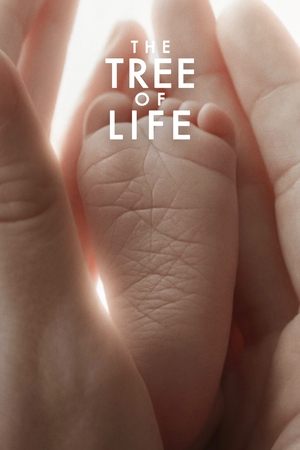 Watch Free The Tree of Life (2011)