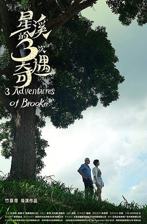 Watch Free Three Adventures of Brooke (2018)