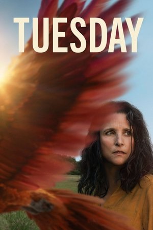 Watch Free Tuesday (2023)