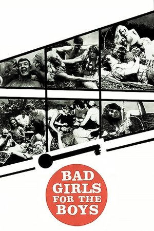 Watch Free Bad Girls for the Boys (1966)
