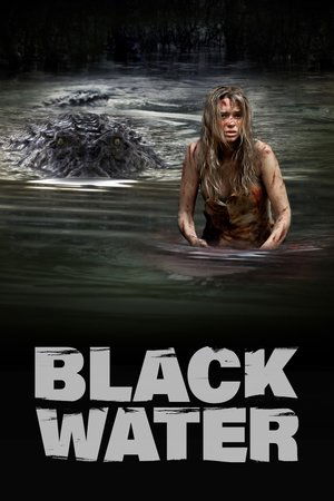 Watch Free Black Water (2007)
