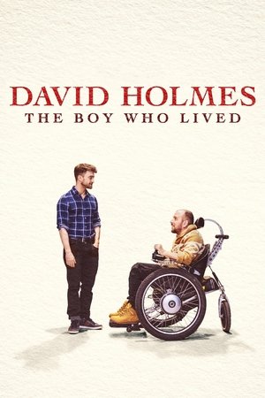 Watch Free David Holmes The Boy Who Lived (2023)