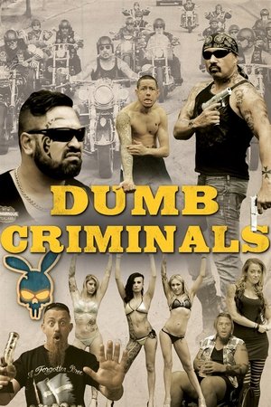 Watch Free Dumb Criminals: The Movie (2015)