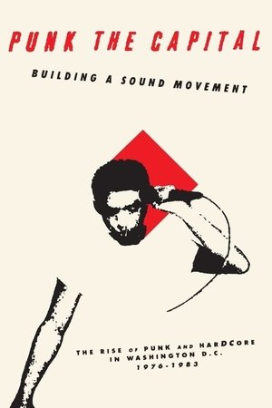 Watch Free Punk the Capital Building a Sound Movement (2019)