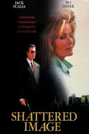 Watch Free Shattered Image (1994)
